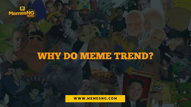 Why do Meme Trend?