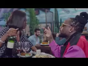 VIDEO: Wale – Love… (Her Fault) ft. Bryson Tiller