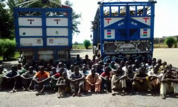 Military Frees 128 Boko Haram Detainees In Borno