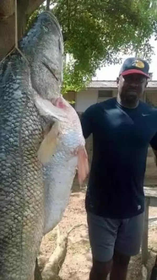 Photos: See Big Fish Caught At IITA Ibadan
