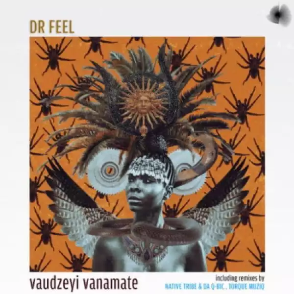 Dr Feel – Vaudzeyi Vanamate (TorQue MuziQ Remix)