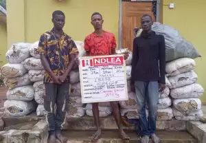 NDLEA bursts Lagos warehouse, seizes N4.7billion cocaine, meth, arrests siblings in Aba