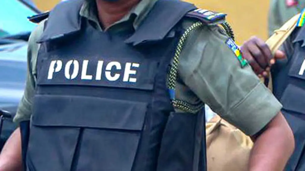 Enugu: Police arrest 3, recover firearms, motor batteries