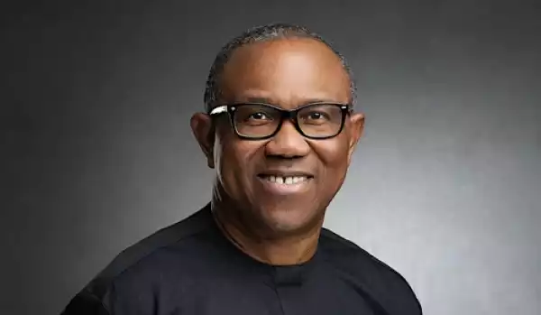 The Declared Winner of 2023 Presidential Election Did Not Win - Labour Party Presidential Candidate, Peter Obi (Video)
