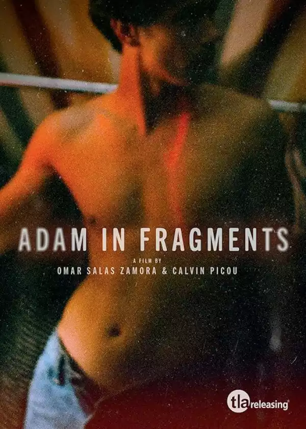 Adam in Fragments S01 E03
