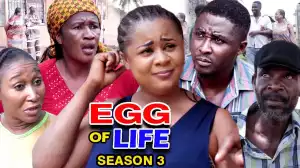 EGG OF LIFE SEASON 5  (2020 Nollywood Movie)