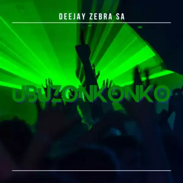 Deejay Zebra SA – South African Story
