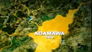 Woman owns up to stealing infant from hospital bed in Adamawa