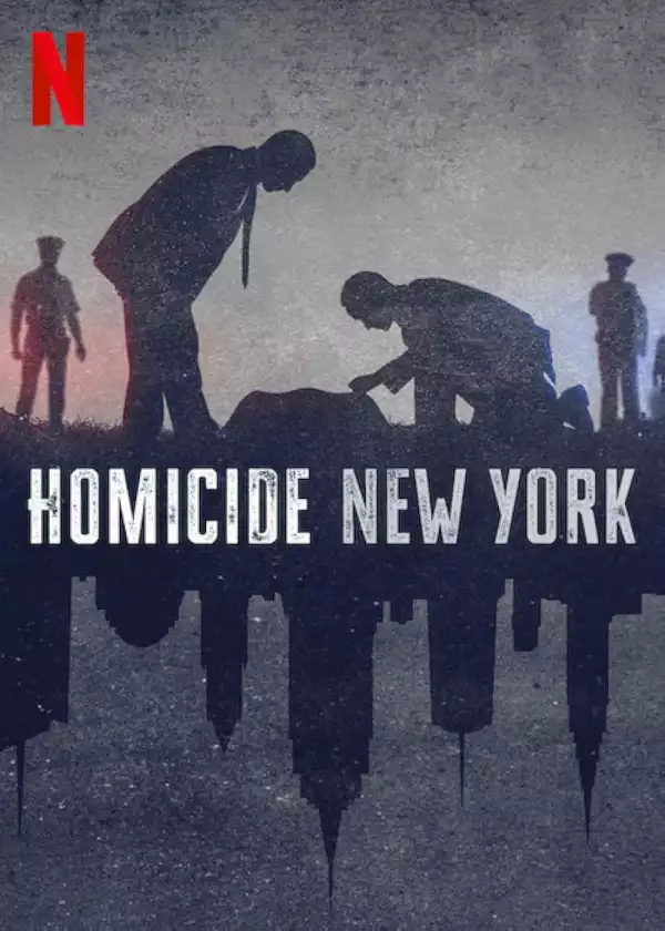 Homicide New York (TV series)