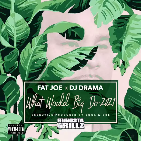 Fat Joe & DJ Drama - What Would Big Do 2021 (Album)