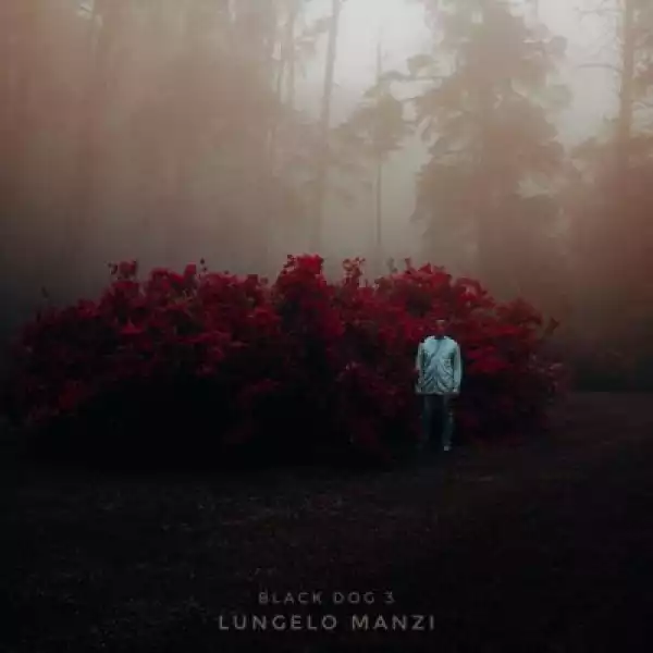 Lungelo Manzi – Sometimes