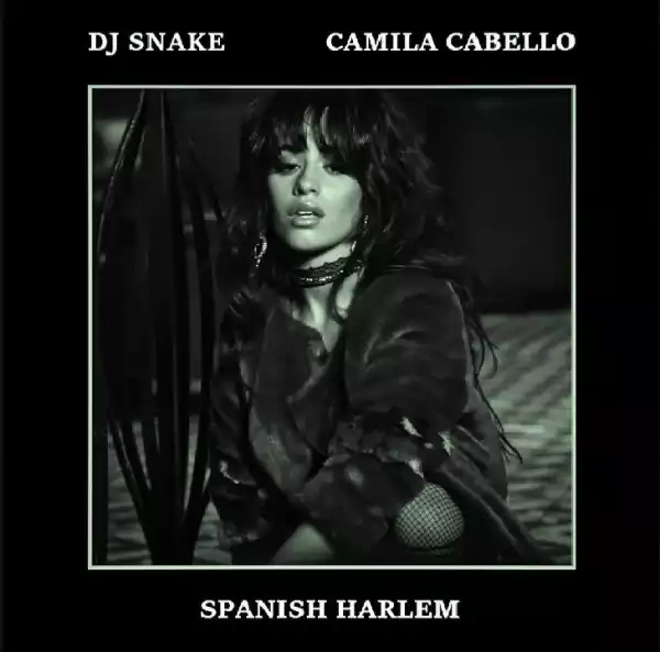 Camila Cabello Ft. DJ Snake – Spanish Harlem