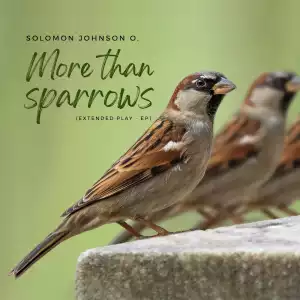 Solomon Johnson O. – More Than Sparrows (EP)