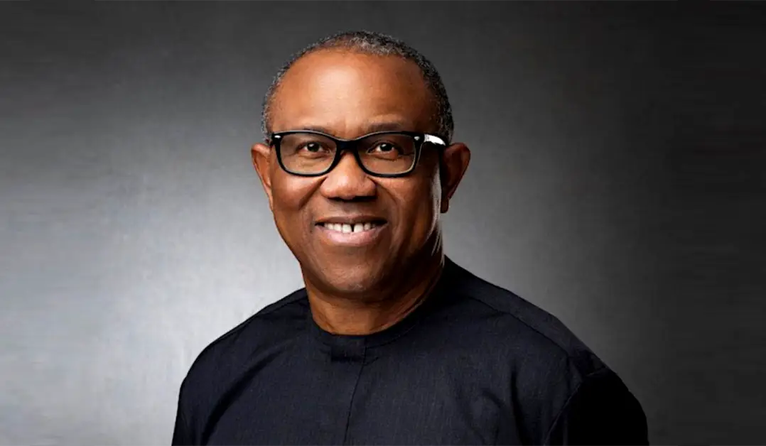 Labour Party Plans’ll Drive Quality Life Of Average Nigerians – Peter Obi