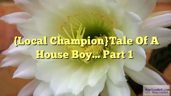 Tale Of A House Boy (Local Champion) - Season 1 - Episode 40