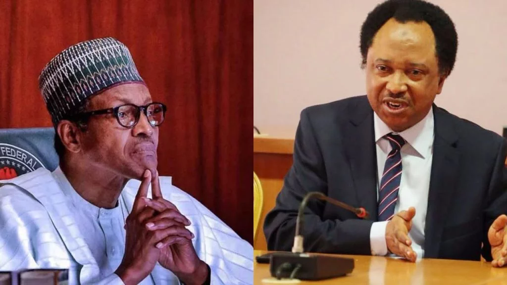 2023: Shehu Sani lambasts Buhari for asking Nigerians to vote APC