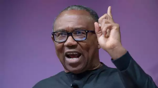 2023 Election: Peter Obi Came Like A Hurricane – Fayose