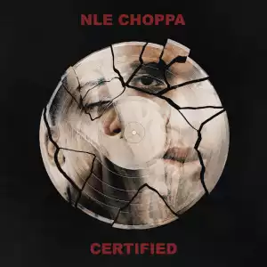 NLE Choppa – Slut Me Out