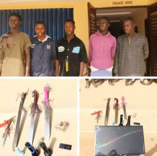 Police Arrest Six Members Of Criminal Syndicate For Armed Robbery And R*pe Of 23-year-old Student In Bauchi