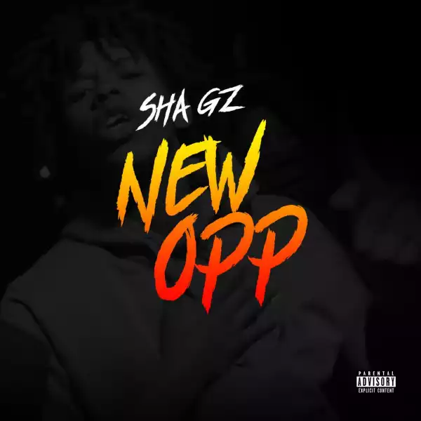Sha Gz – New Opp (Instrumental)