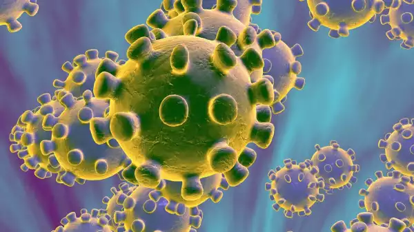 South Africa Records 13 Cases Of Coronavirus