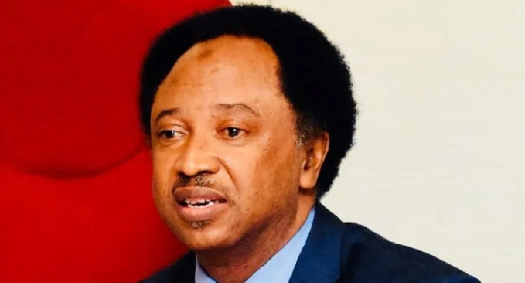 June 12: Even Biden, Fidel Castrol fell – Shehu Sani defends Tinubu’s fall