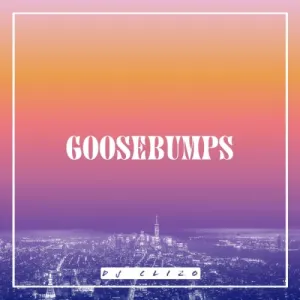 Dj Clizo – Goosebumps