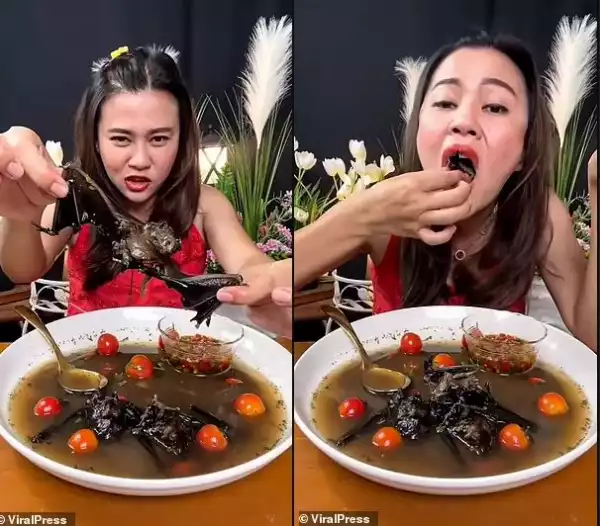Thai Food Blogger Faces Five Years In Jail For Videoing Herself Eating A Whole Bat In A Bowl Of Soup