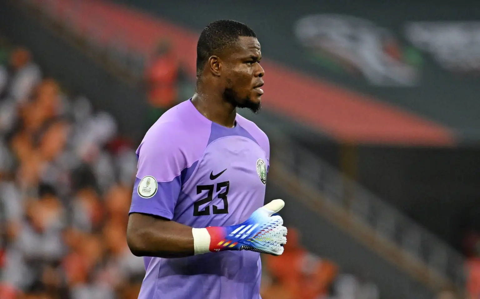 Super Eagles: He can wear Enyeama’s shoes – Brown gives verdict on Nwabali