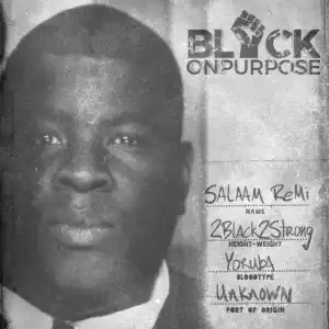 Salaam Remi - Black On Purpose (Album)