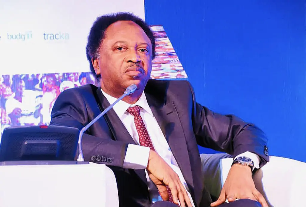 Northern govs not serious about tackling insecurity – Shehu Sani