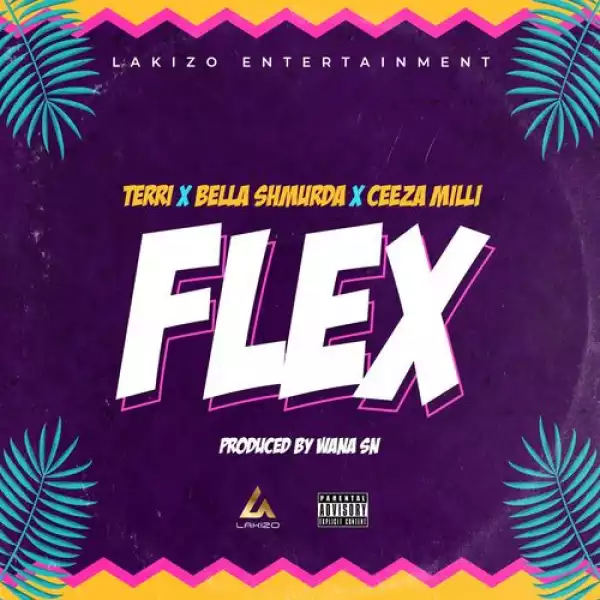 Terri x Bella Shmurda x Ceeza Milli – Flex