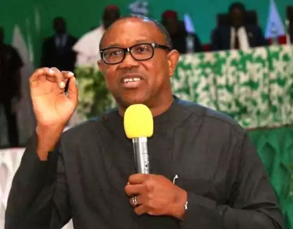 Prepare For War If Anything Happens To Peter Obi – Igbo Youths