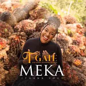 T-Gate – Meka (Thank You) (Video)
