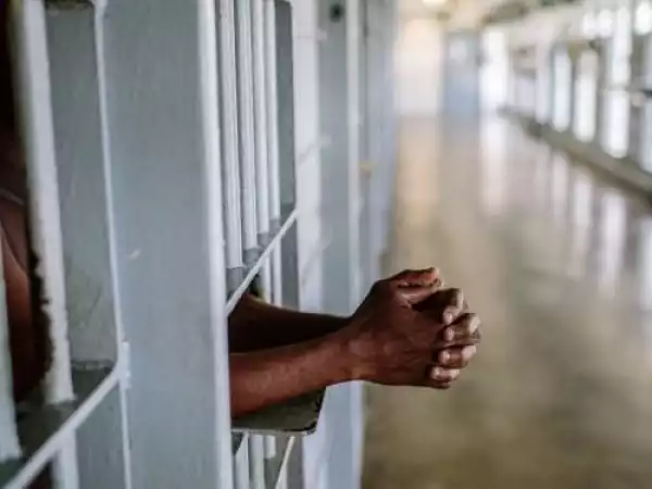 How N3,500 Dog Got Me Into Prison – Man Confesses