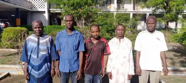 Police arrest five men for allegedly sodomising 20-year-old man in Kano