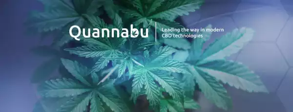 All About Quannabu, the Cryptocurrency Built for the Cannabis Industry
