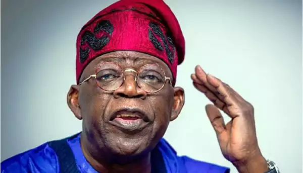 Tinubu needs collaboration to successfully tackle Nigeria’s problems – Group
